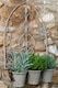 image 5 of Meerkat Plant Pot Hanger - L10.5 x W3.5 x H5 cm | Bronze