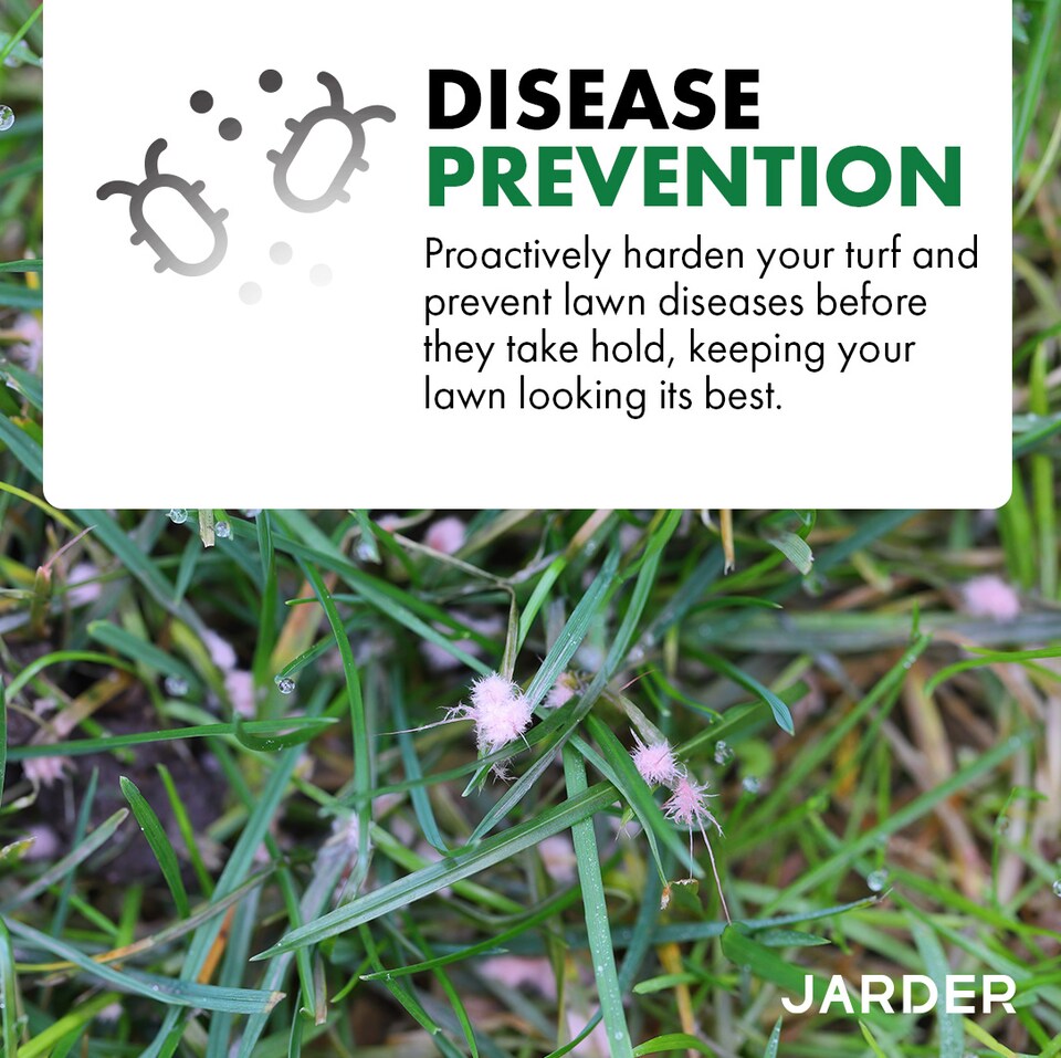 image 1 of Jarder Weed and Feed Lawn Treatment 3kg x 3