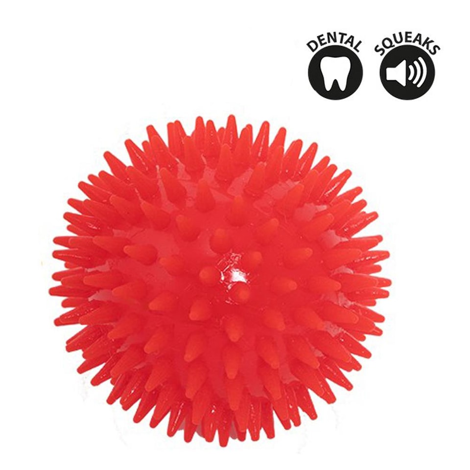 image 1 of Pack of 3 Spikey Rubber Pet Balls Toy Dog Puppy Fetch Catch Play Indoor Outdoor Squeaky TPR Teething Chew Interactive