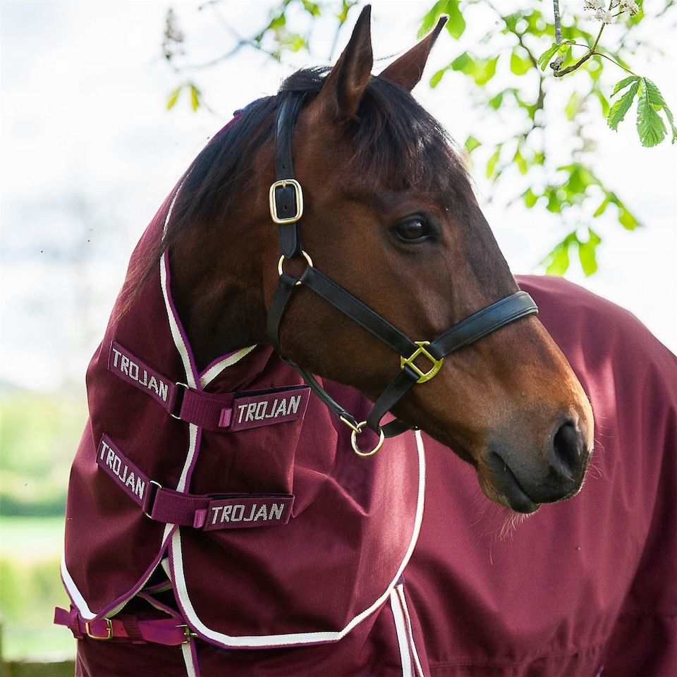 Gallop Equestrian Trojan Xtra Lightweight Neck Cover N/A | Size: Medium
Colour: Burgundy/Purple
