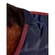image 2 of Weatherbeeta Comfitec Standard-Neck Channel Quilt 220g Horse Stable Rug | Red | Navy/Burgundy | 6Ft | 1