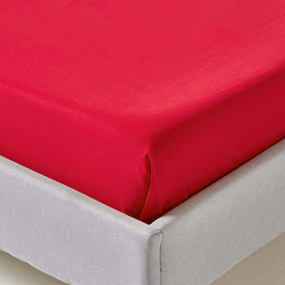 image 1 of Homescapes Red Egyptian Cotton Flat Sheet 200 TC, Single Red | Single