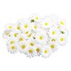 image 1 of Easter White Decorative Daisies - Pack of 16