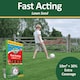 image 8 of Westland GRO-Sure Fast Acting Lawn Seed 10 Meter Square + 30 Percent Extra Quick Germination Grass Seed for Lawn Repair & Growth