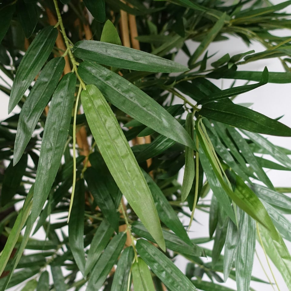 image 1 of 180cm UV Resistant Bamboo Premium  Realistic Green | One Size