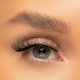 image 3 of Eye Candy Signature Lash Collection - Amor