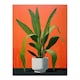 image 3 of Striking Plant Bright Orange Green Snake Home Decor Black Framed Wall Art Print A4