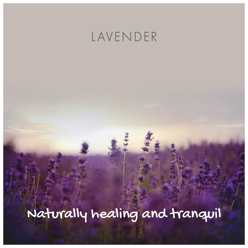 image 1 of Natural Lavender Soap On A Rope | Cream