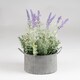 image 2 of Scottish Everlastings 37.5cm Artificial Lavender in Iron Pot