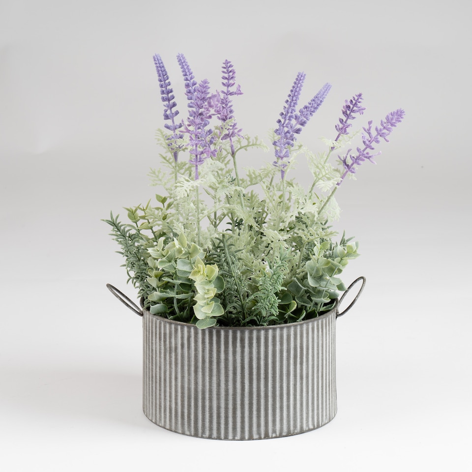 image 1 of Scottish Everlastings 37.5cm Artificial Lavender in Iron Pot