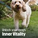 image 9 of 33 x 150g Tails.com Inner Vitality Adult Wet Dog Food Trays Poultry and Game