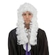 image 1 of Bristol Novelty Unisex Judge Wig - White - One Size One Size