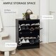 image 4 of HOMCOM Two Drawer Shoe Storage Cabinet Footwear Stand Organiser for 12 Pairs