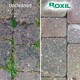 image 4 of Roxil 100 Green Mould, Algae & Lichen Killer - 1 x 5L & Sprayer - Restore The Appearance of Your Patio, Decking, Fence or Paving