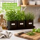 image 5 of Set of 6 Black Indoor Herb Pots with Tray