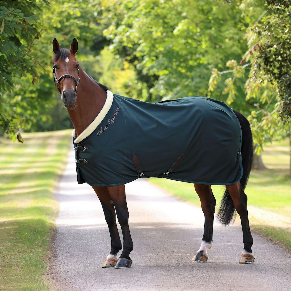 image 1 of Shires Deluxe Stable Sheet Rug Green | Size: 6'3 Inch/75 Inch
Colour: Green