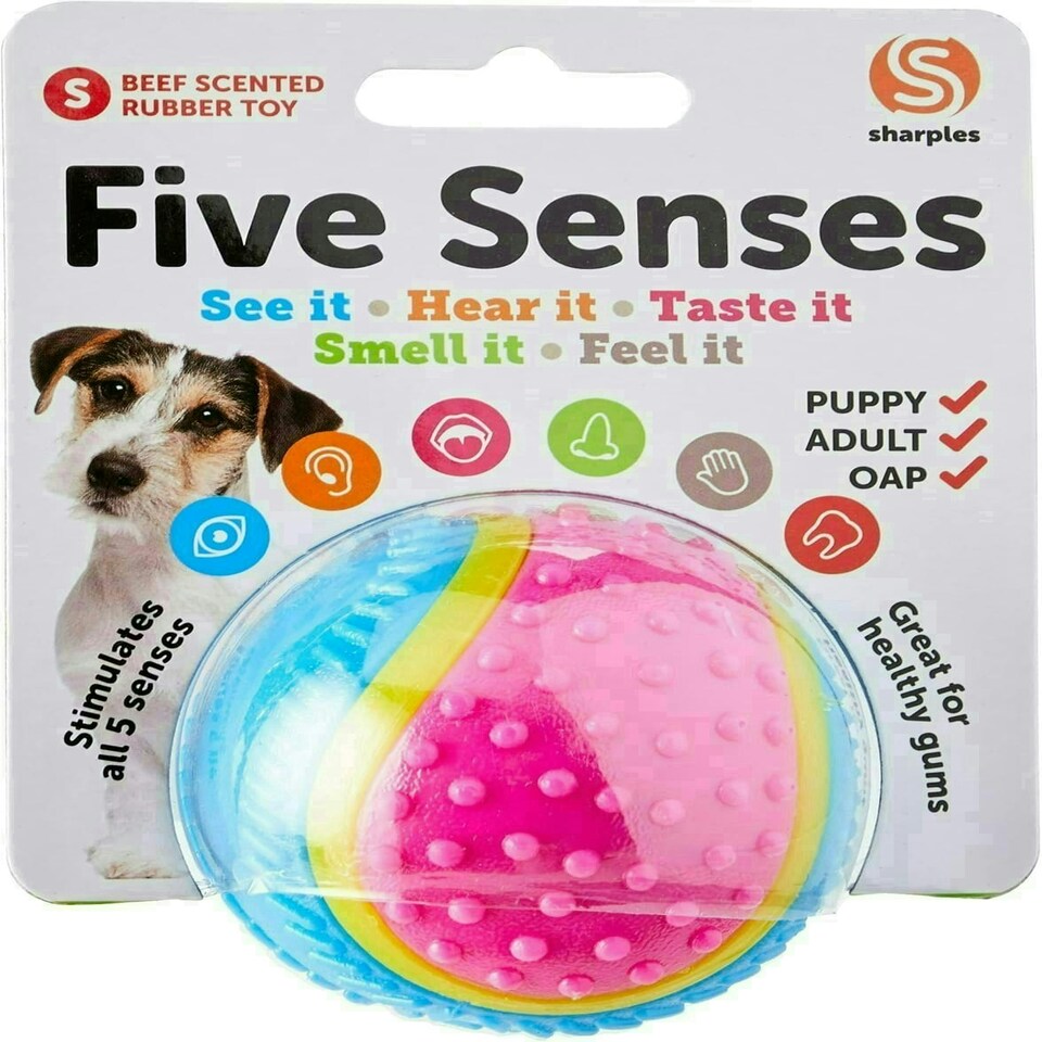 image 1 of Sharples Five Senses Rubber Ball, Small