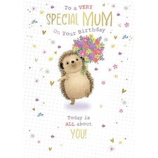 Words 'n' Wishes Special Mum Birthday Card - Happy Birthday Card with a Hedgehog and Flowers Design and Foil Details - Birthday Card for Women