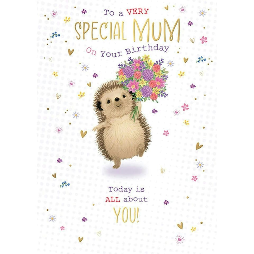 Words 'n' Wishes Special Mum Birthday Card - Happy Birthday Card with a Hedgehog and Flowers Design and Foil Details - Birthday Card for Women