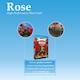 image 3 of Westland Rose High Performance Plant Food Liquid 1L & Granular 3kg Horse Manure Enriched Feed for Healthy Vibrant Roses