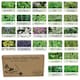 image 1 of Pronto Seed Herb Seeds Bumper Pack – 24 Culinary Herb Varieties, Over 2,600 Seeds for Kitchen & Garden Growing