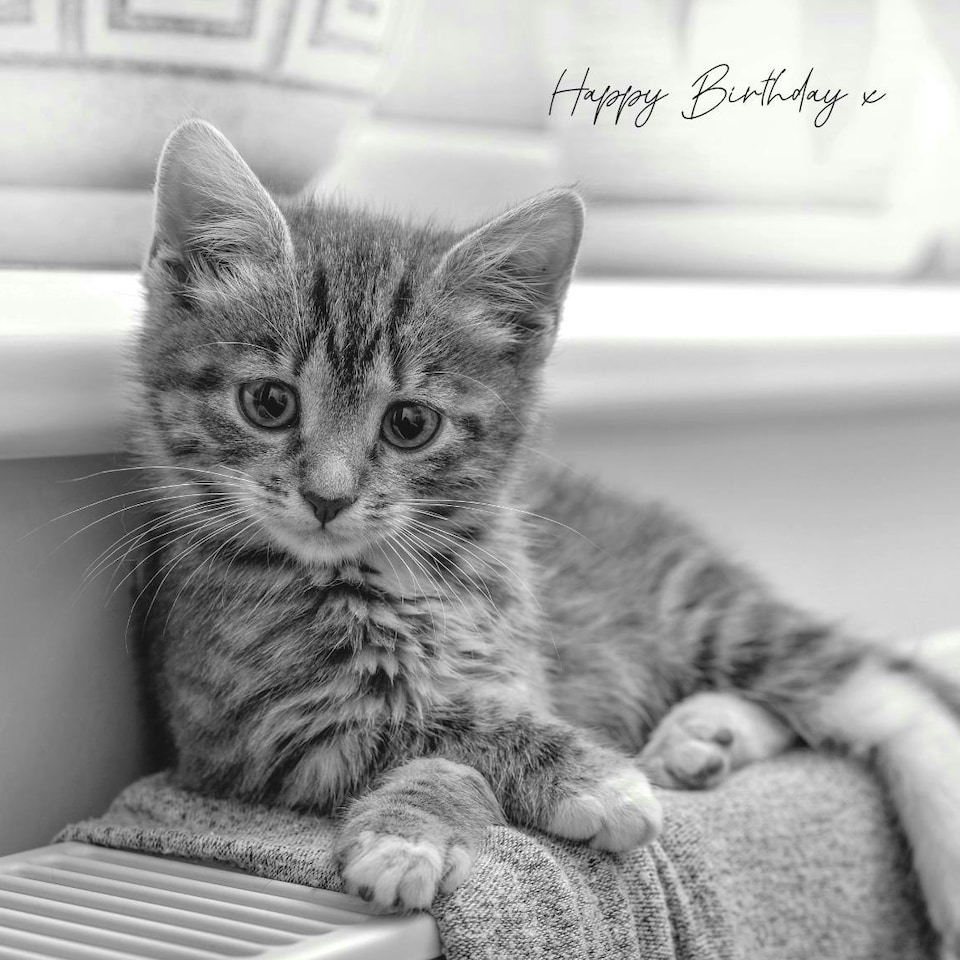 In Black & White Birthday Card for Her, Female Birthday Card, Funny Birthday Card for her