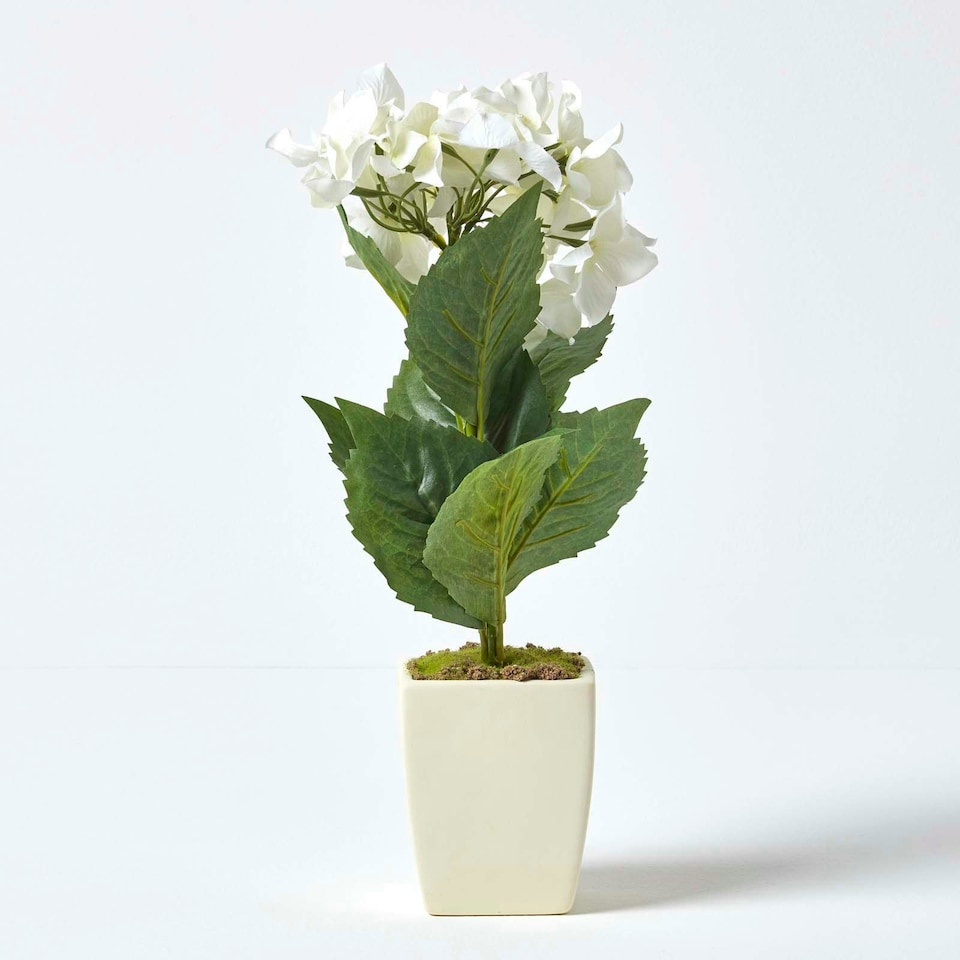 image 1 of Homescapes Small Cream Artificial Hydrangea Flower in Cream Pot, 38 cm Tall