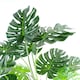 image 3 of 150cm (5ft) Luxury Monstera Plant Black Pot Silver Metal Planter