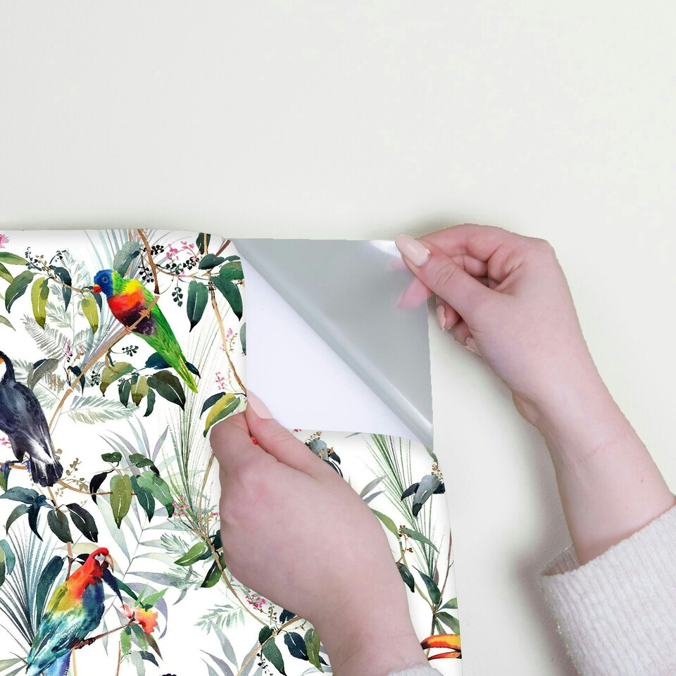 image 1 of Transform Peel & Stick Tropical Floral & Parrot Multicoloured Self-Adhesive Wallpaper Multi | Multi