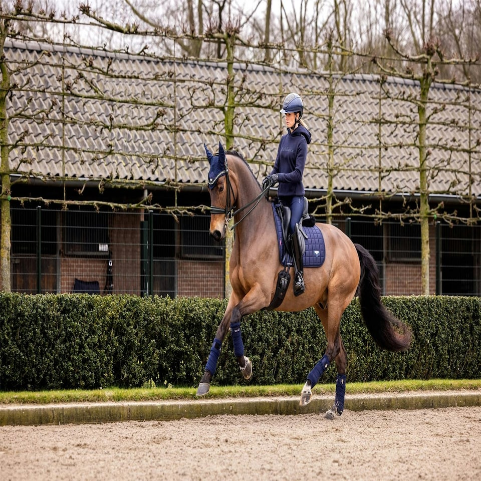 image 1 of LeMieux Loire Classic Dressage Square Purple | Large