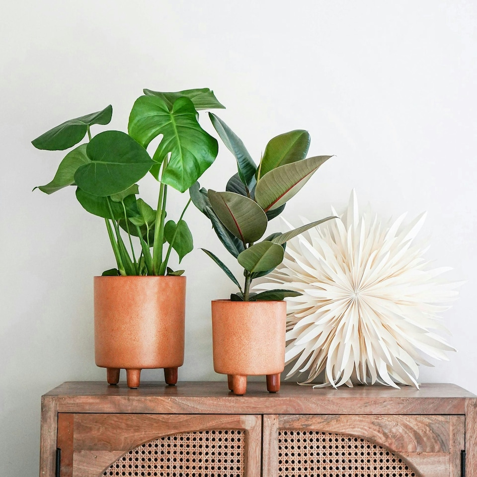 image 1 of Pisa Planter - Ceramic - L20 x W20 x H24 cm - Mustard | Brown