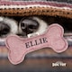 image 2 of History & Heraldry Pre-Personalised Squeaky Bone Dog Toy - Ellie