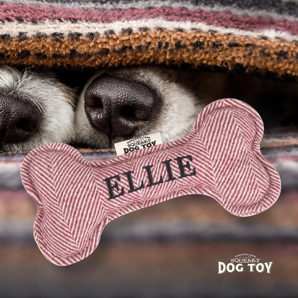 image 1 of History & Heraldry Pre-Personalised Squeaky Bone Dog Toy - Ellie