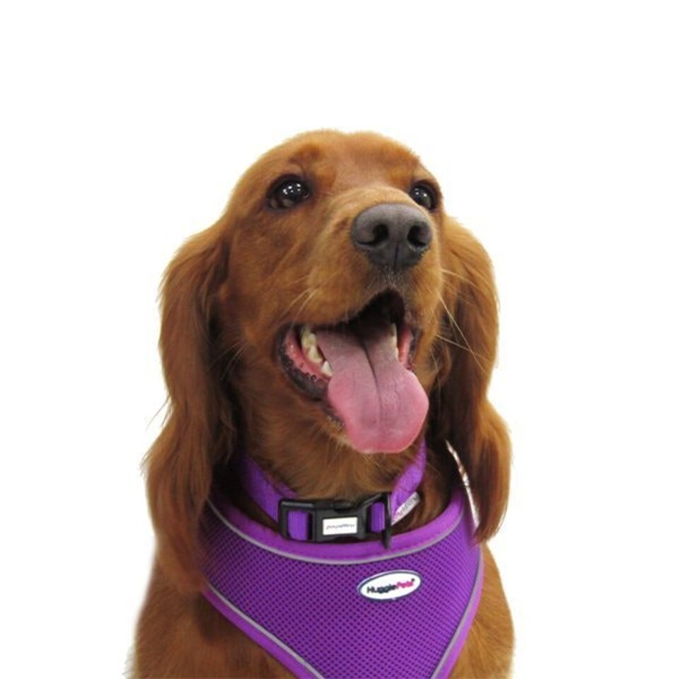 image 1 of HugglePets Air Mesh Dog Harness Red | M