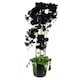 image 1 of Large Black Orchid Plant Artifcial 41 REAL TOUCH flowers Botanik