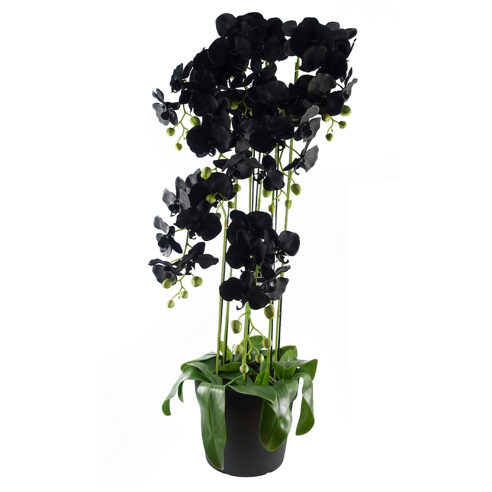 image 1 of Large Black Orchid Plant Artifcial 41 REAL TOUCH flowers Botanik