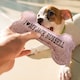 image 6 of History & Heraldry Pre-Personalised Squeaky Bone Dog Toy - Alfie