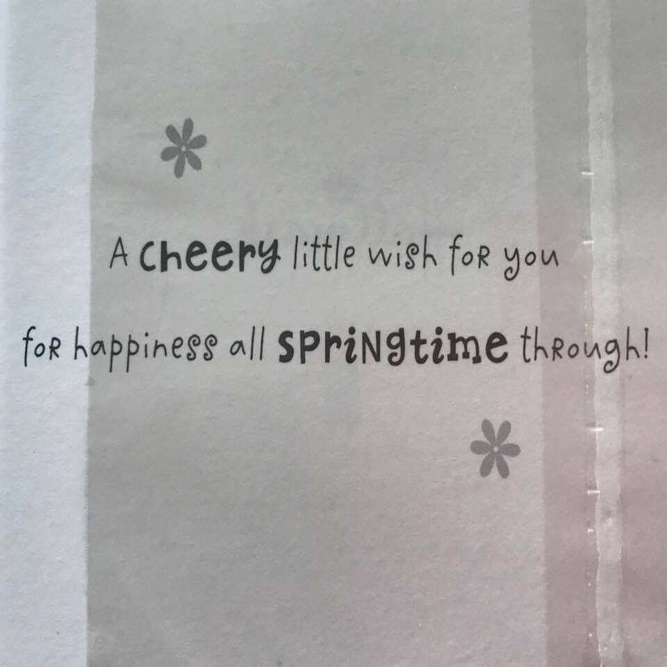 image 1 of Little Wish For You Springtime Easter Greeting Card