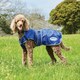 image 2 of Weatherbeeta Comfitec Windbreaker Free Deluxe Dog Coat - Dark Blue/Grey/White - 50cm