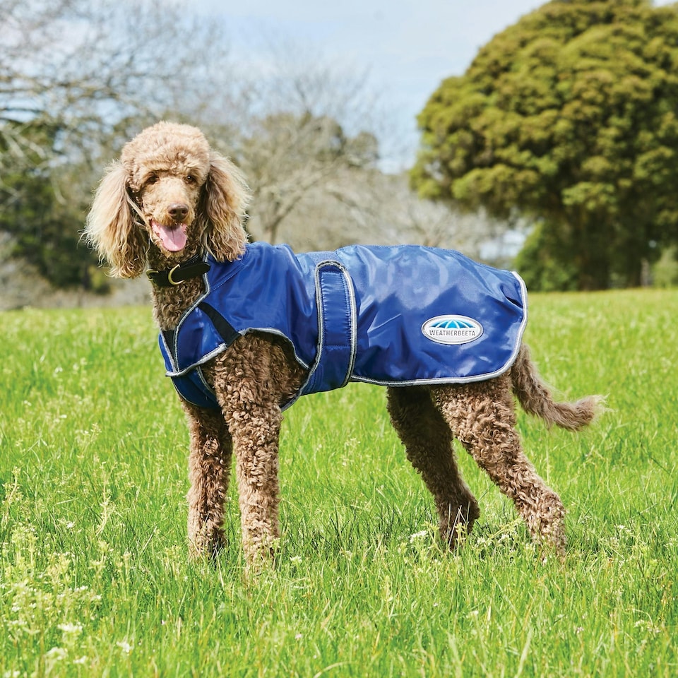 image 1 of Weatherbeeta Comfitec Windbreaker Free Deluxe Dog Coat - Dark Blue/Grey/White - 50cm