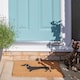 image 5 of Nicola Spring Coir Door Mat - 60 x 40cm - Sausage Dog