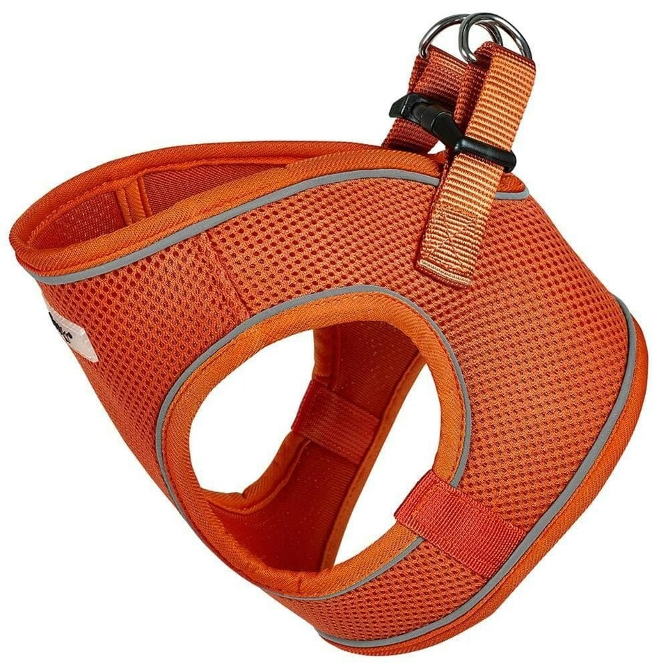 image 1 of Bunty Voyage Harness Purple | S