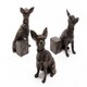 image 1 of Chihuahua Plant Pot Feet - Set of 3 - L5 x W6 x H9.5 cm Grey