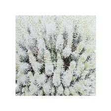 Beautifully White Splash Back | White