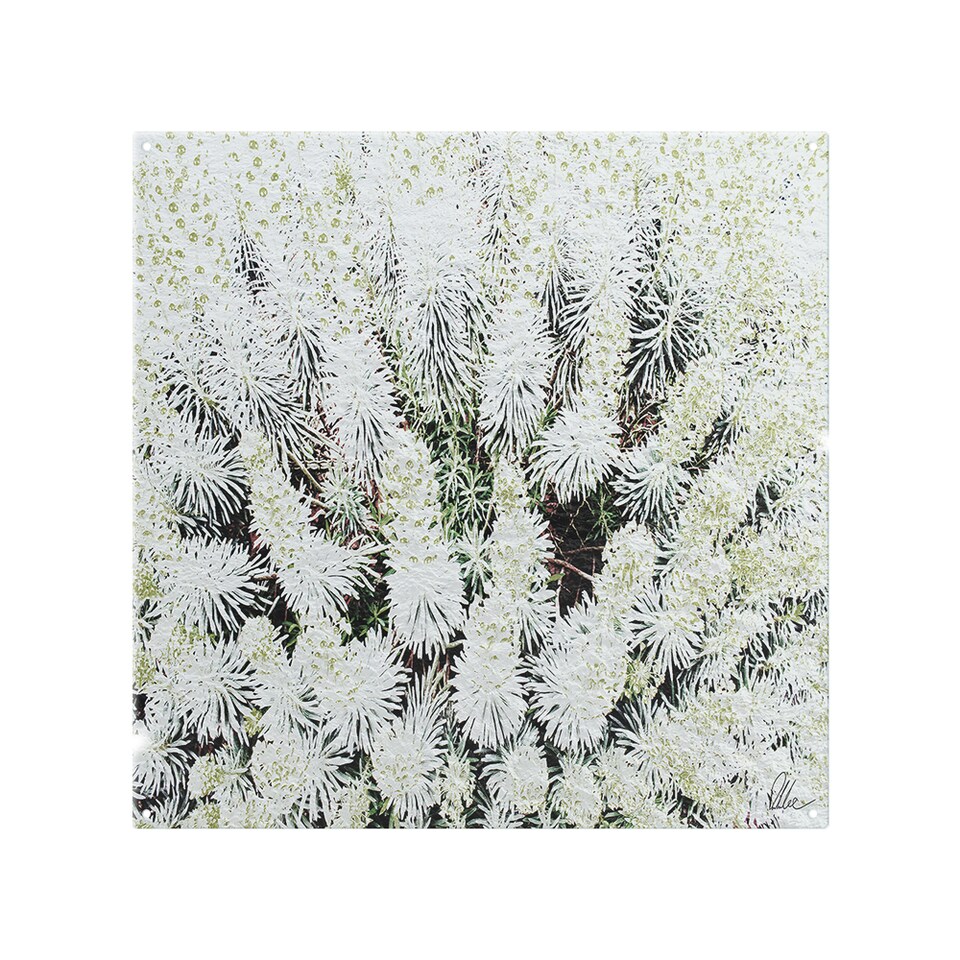image 1 of Beautifully White Splash Back | White