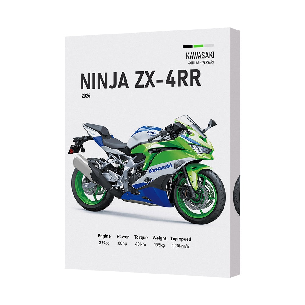 Kawasaki Ninja ZX4RR Motorcycle Canvas Print Wall Art 2024