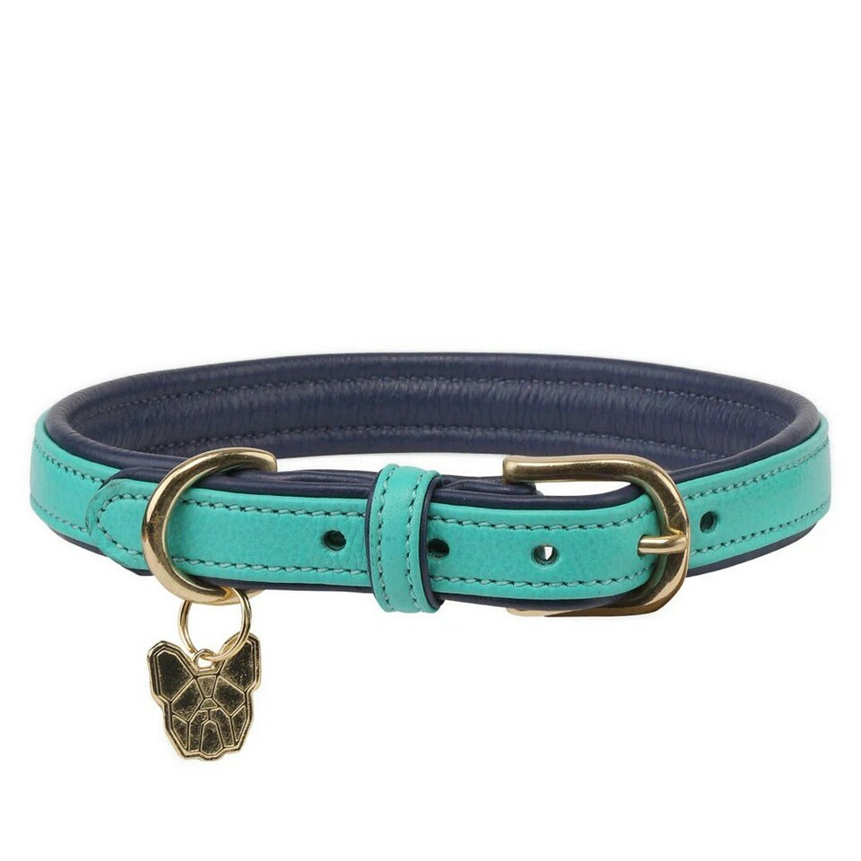 Digby & Fox Leather Padded Dog Collar - Aqua - XS - Neckline: 29cm-34cm