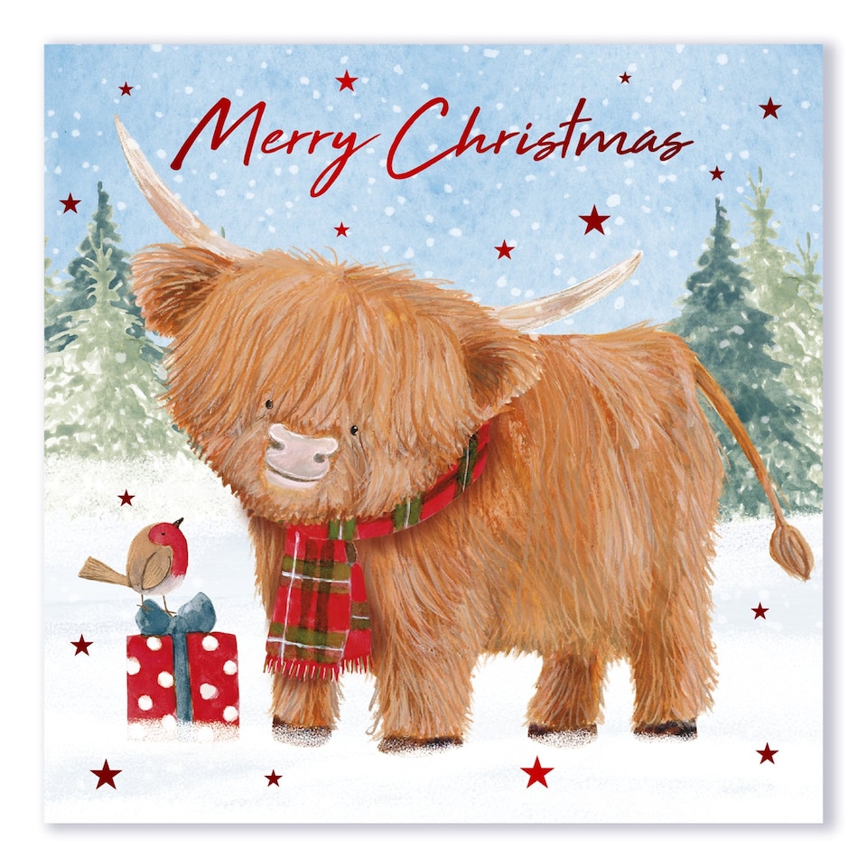 image 1 of Assorted Highland Cows Christmas Greeting Cards - Pack of 12