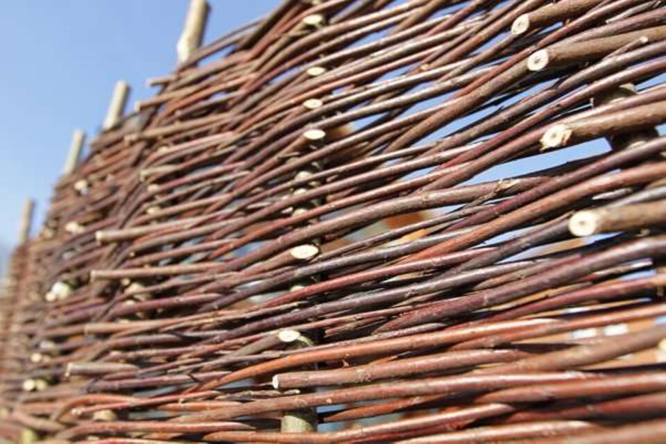 image 1 of Willow Hurdle Fence Panel Premium Weave Woven Screening 6ft x 6ft | Brown | Brown