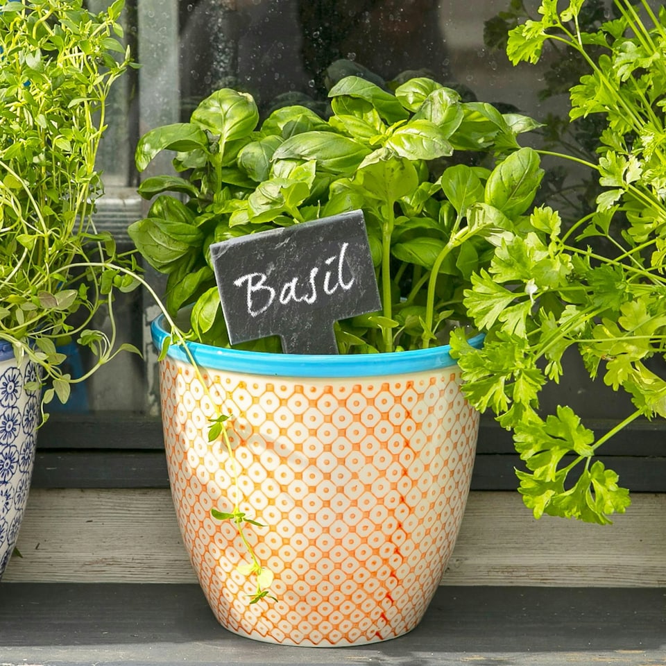 image 1 of Nicola Spring Hand-Printed Plant Pot - 14cm - Orange Orange